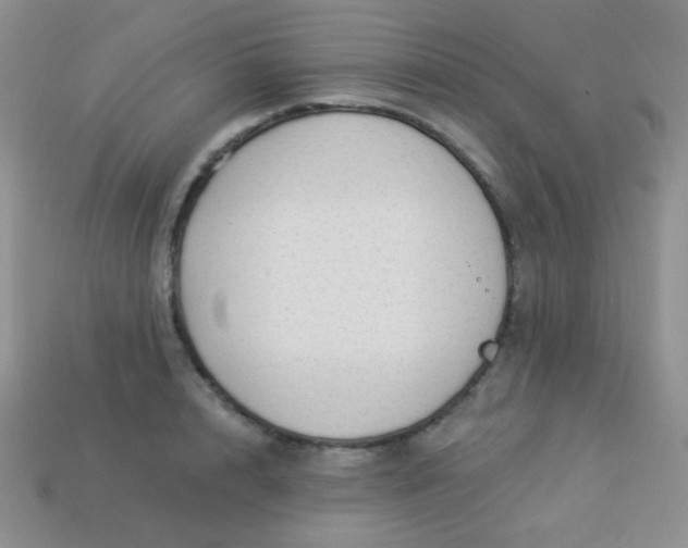 X0000113960848200910091627