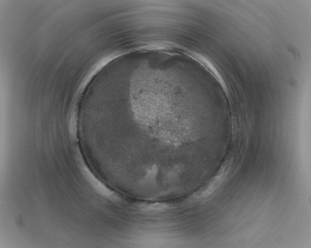 X0000113960851200910091627