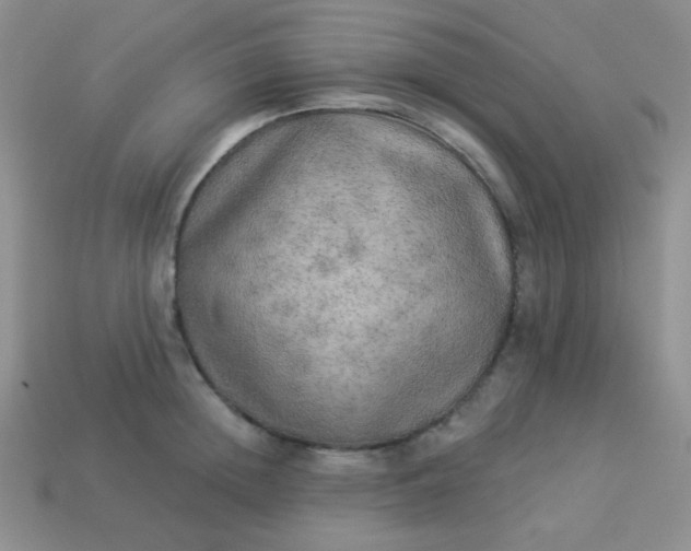 X0000113960852200910091627