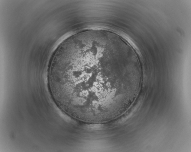 X0000113960853200910091627