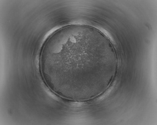 X0000113960854200910091627