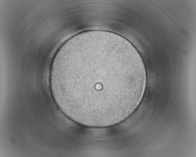 X0000113960856200910091627