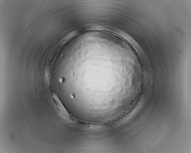 X0000113960857200910091627