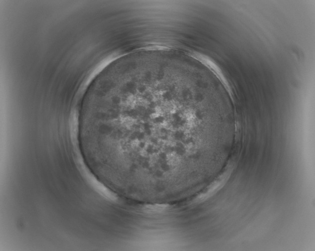 X0000113960859200910091627