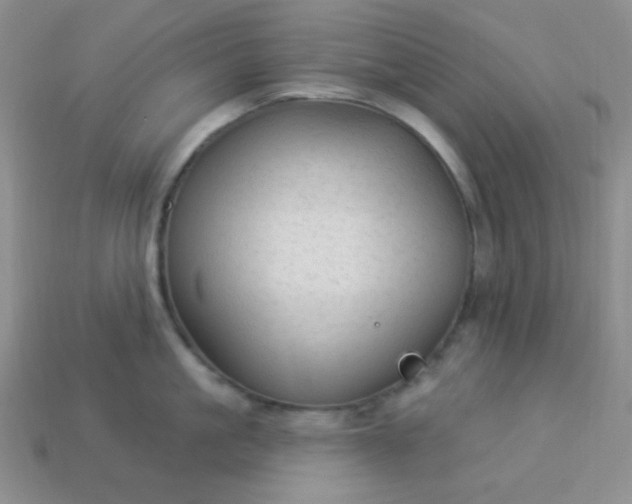 X0000113960861200910091627