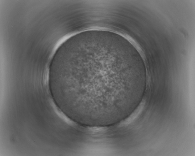 X0000113960862200910091627