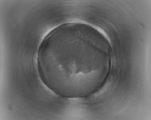 X0000113960863200910091627