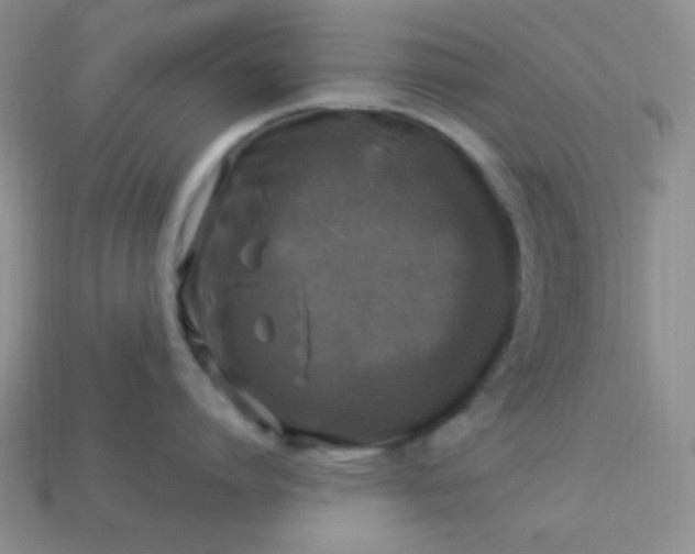 X0000113960864200910091627