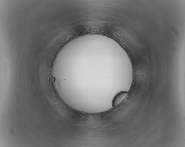 X0000113960865200910091627