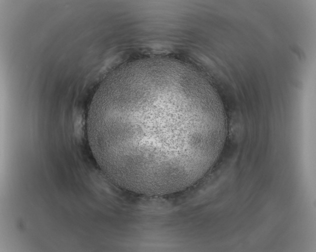 X0000113960866200910091627