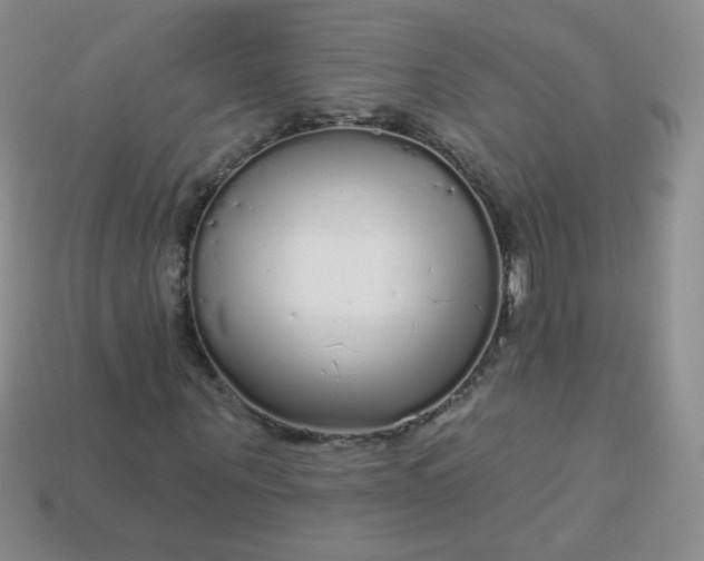 X0000113960867200910091627