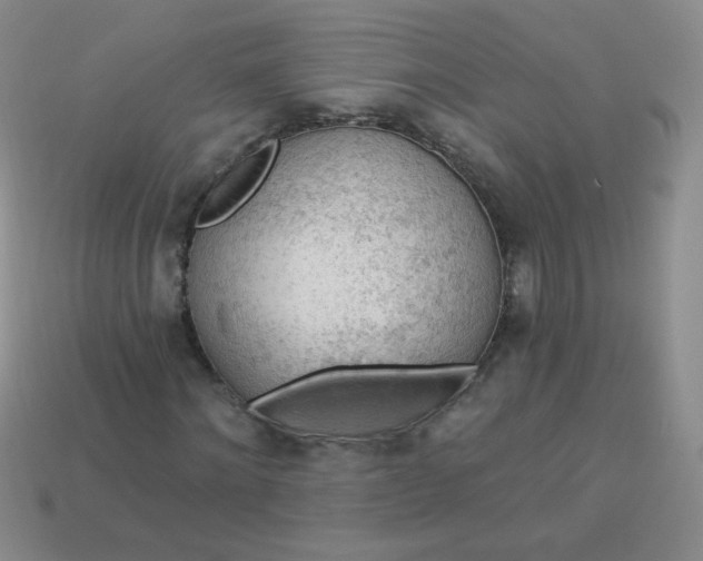 X0000113960868200910091627