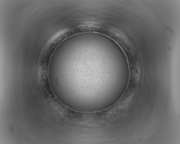 X0000113960870200910091627