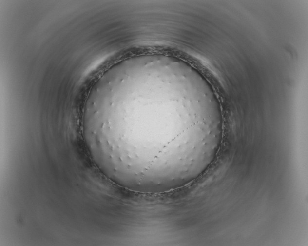 X0000113960871200910091627