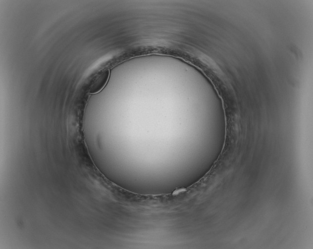 X0000113960872200910091627