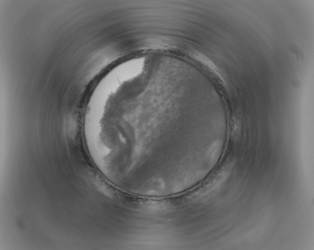 X0000113960874200910091627