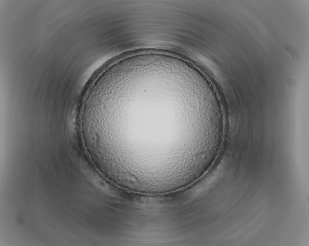 X0000113960875200910091627