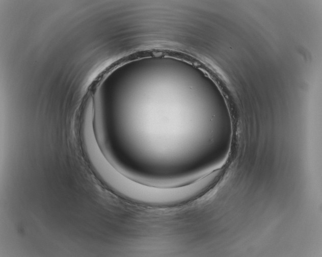 X0000113960877200910091627