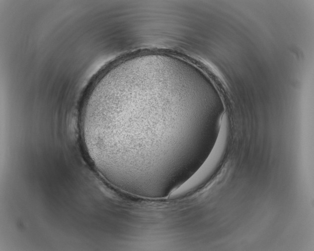 X0000113960878200910091627