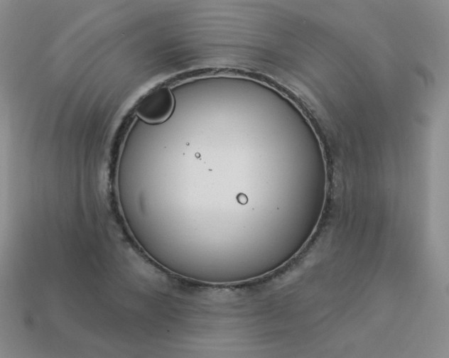 X0000113960880200910091627