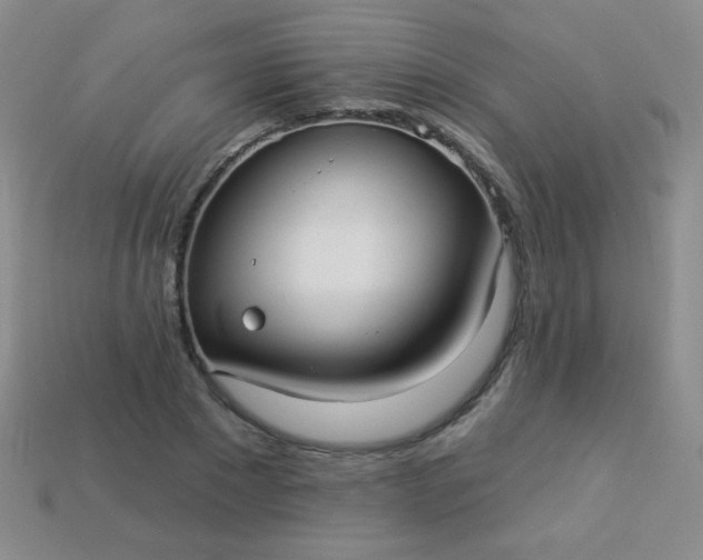 X0000113960881200910091627