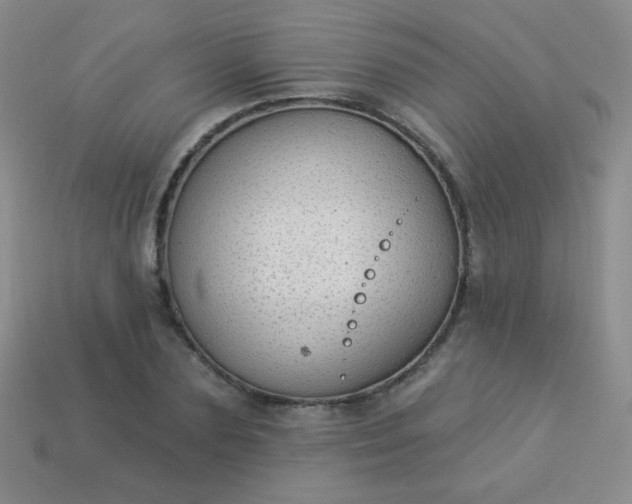 X0000113960883200910091627