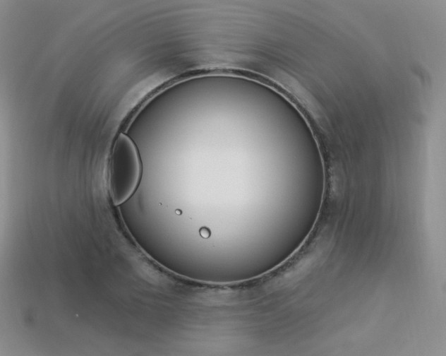 X0000113960885200910091627