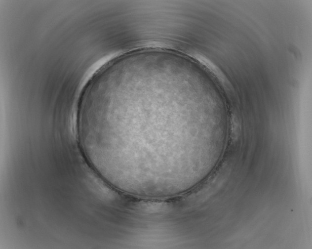 X0000113960886200910091627