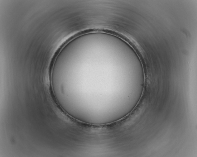 X0000113960887200910091627