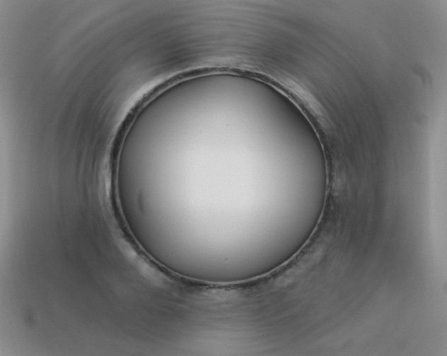 X0000113960888200910091627