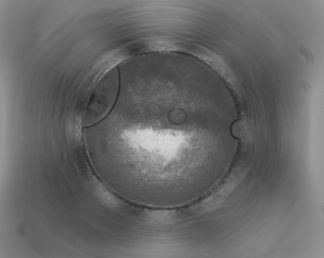 X0000113960889200910091627