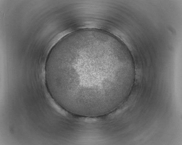 X0000113960890200910091627