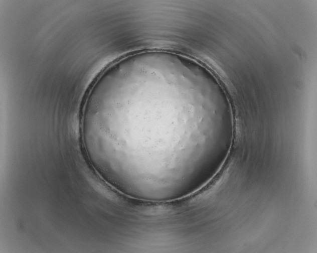 X0000113960891200910091627