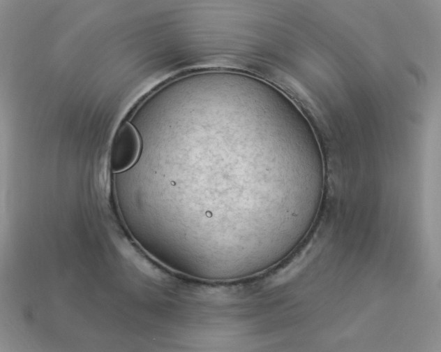 X0000113960892200910091626