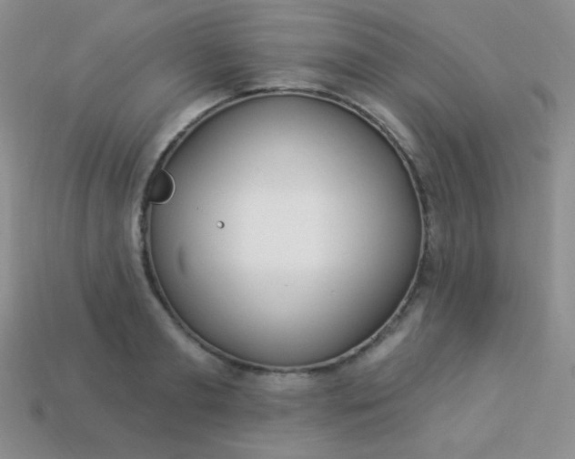 X0000113960893200910091626