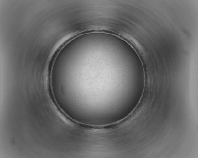 X0000113960894200910091626