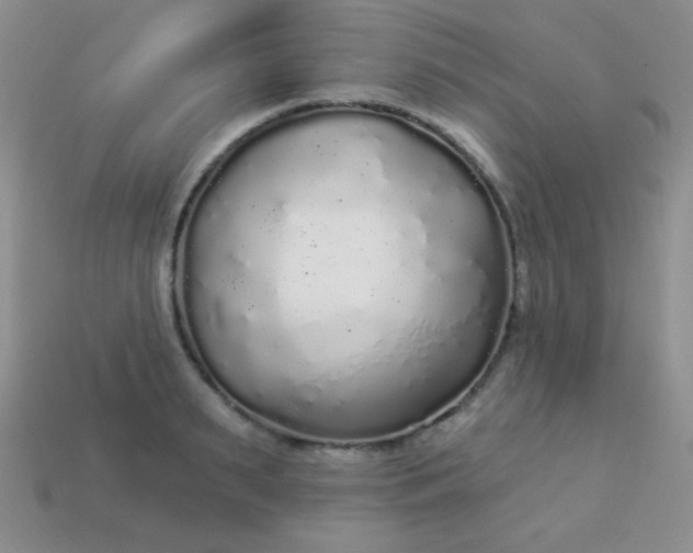 X0000113960895200910091626