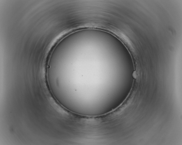 X0000113960896200910091626