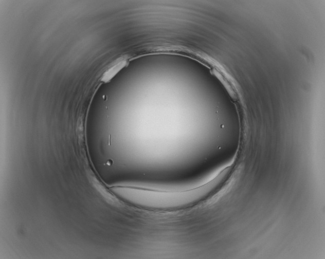 X0000113960897200910091626