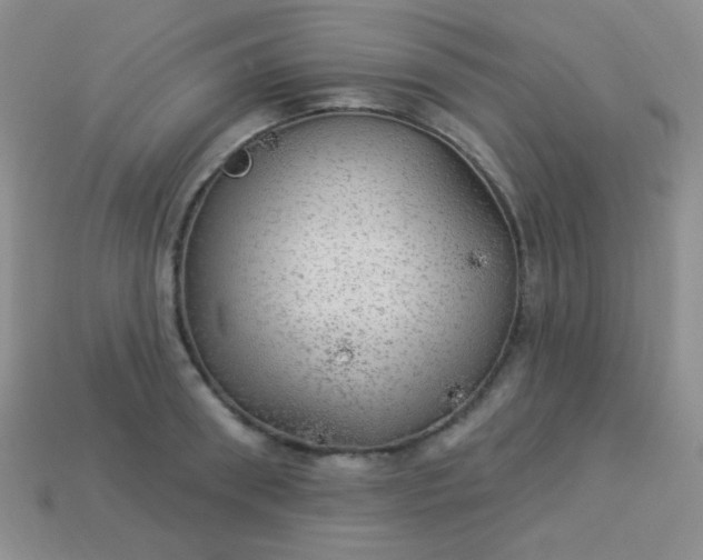 X0000113960898200910091626