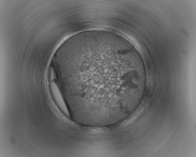 X0000113960899200910091626