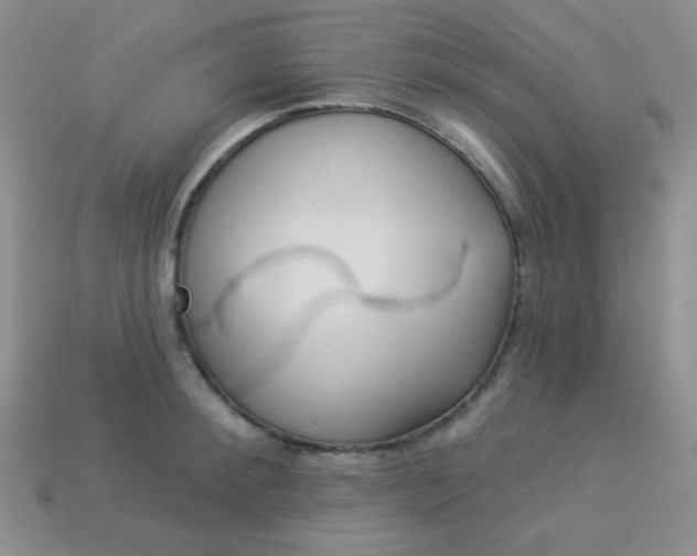 X0000113960900200910091626