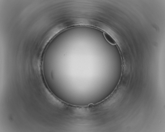 X0000113960901200910091626