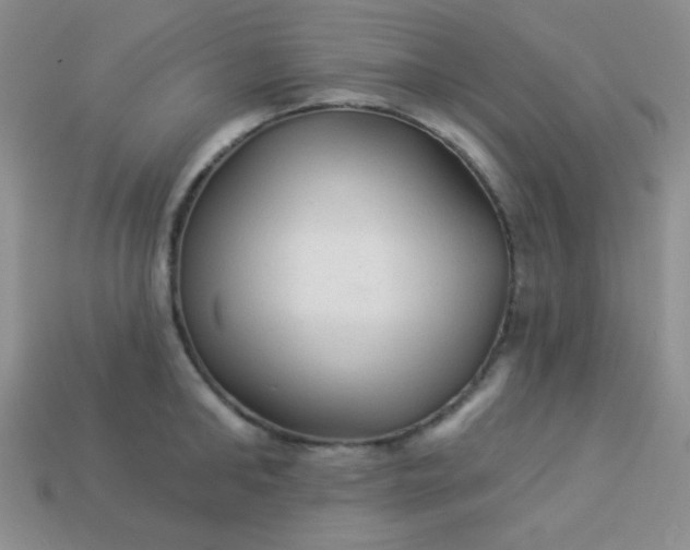 X0000113960902200910091626