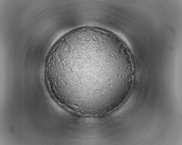 X0000113960903200910091626