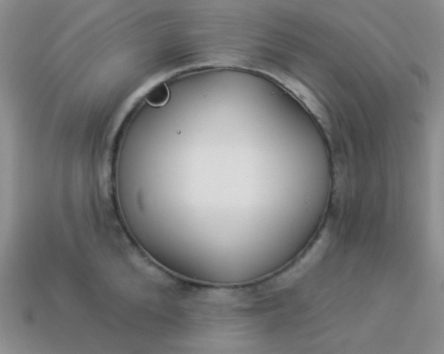 X0000113960904200910091626