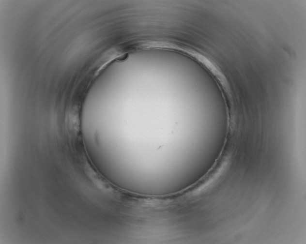 X0000113960905200910091626