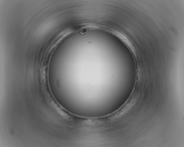 X0000113960906200910091626