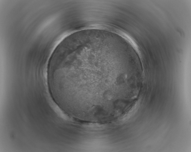 X0000113960907200910091626