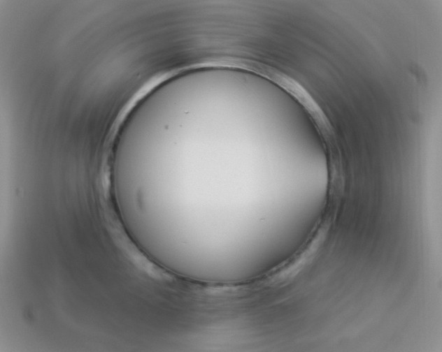 X0000113960908200910091626